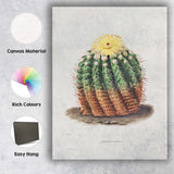 Antique Flowering Cactus Botanical Illustration Yellow Bloom Canvas Wall Art Print Decor Picture Ready to Hang