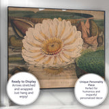 Antique White Water Lily Botanical Pond Illustration Canvas Wall Art Print Decor Picture Ready to Hang