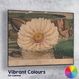 Antique White Water Lily Botanical Pond Illustration Canvas Wall Art Print Decor Picture Ready to Hang