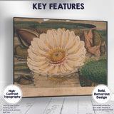 Antique White Water Lily Botanical Pond Illustration Canvas Wall Art Print Decor Picture Ready to Hang