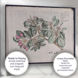 Antique Tropical Flowering Branch Botanical Plate Illustration Canvas Wall Art Print Decor Picture Ready to Hang