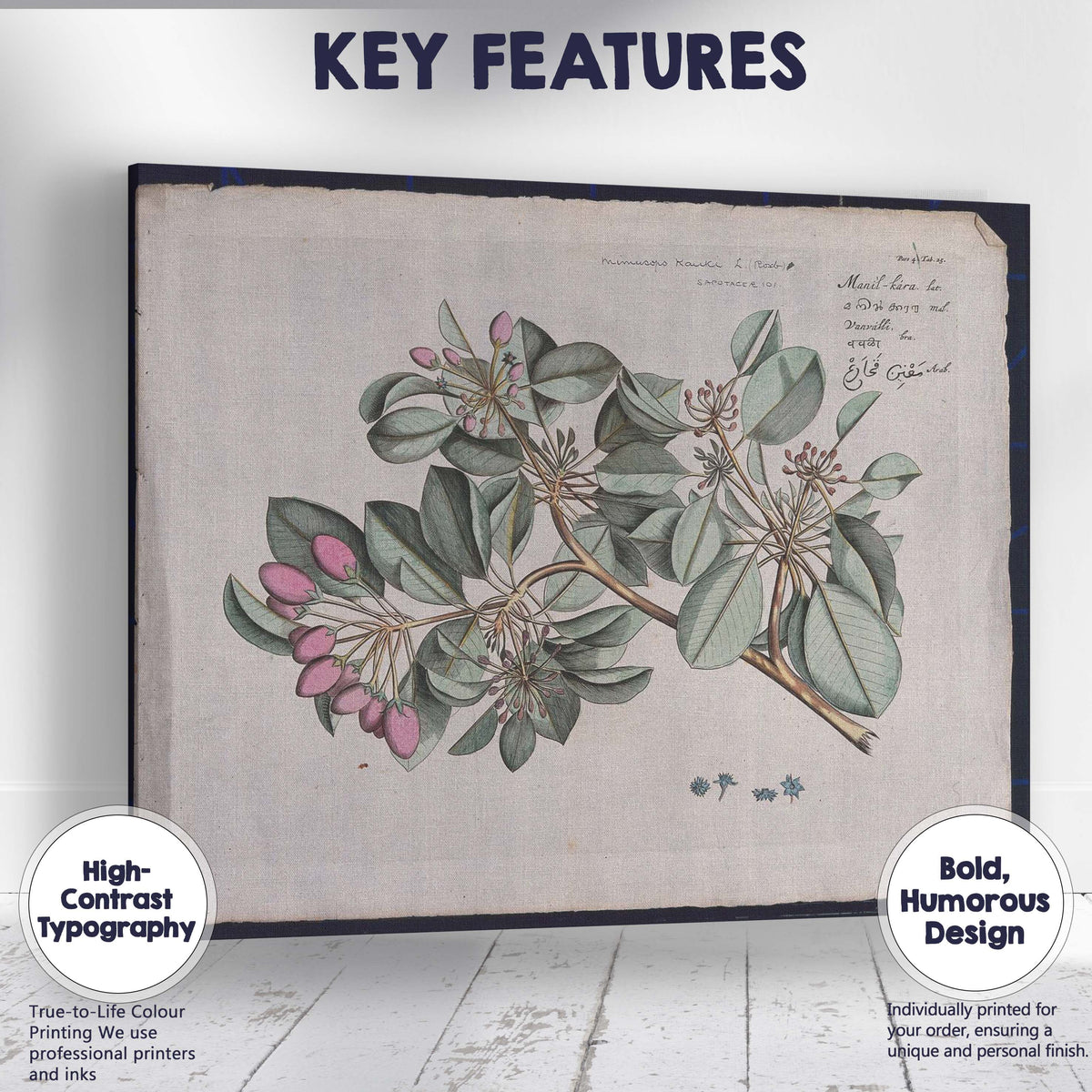 Antique Tropical Flowering Branch Botanical Plate Illustration Canvas Wall Art Print Decor Picture Ready to Hang