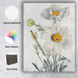 White Poppy Botanical Watercolour Flower Study Elegant Floral Canvas Wall Art Print Decor Picture Ready to Hang