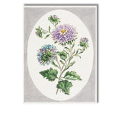 Antique Purple Chrysanthemum Botanical Floral Study Watercolour Illustration Canvas Wall Art Print Decor Picture Ready to Hang