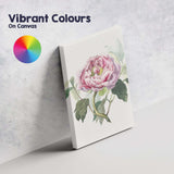 Elegant Pink Peony Botanical Watercolour Floral Artwork Canvas Wall Art Print Decor Picture Ready to Hang