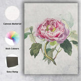 Elegant Pink Peony Botanical Watercolour Floral Artwork Canvas Wall Art Print Decor Picture Ready to Hang