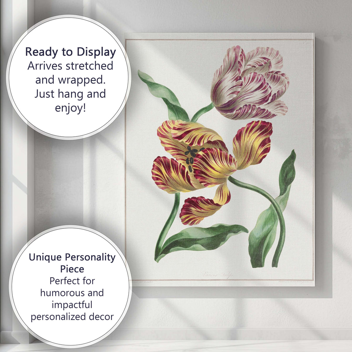 Colourful Parrot Tulips Botanical Flower Study Antique Illustration Canvas Wall Art Print Decor Picture Ready to Hang