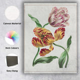 Colourful Parrot Tulips Botanical Flower Study Antique Illustration Canvas Wall Art Print Decor Picture Ready to Hang