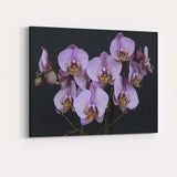 Purple Speckled Phalaenopsis Orchid Bloom Botanical Floral Canvas Wall Art Print Decor Picture Ready to Hang