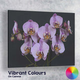 Purple Speckled Phalaenopsis Orchid Bloom Botanical Floral Canvas Wall Art Print Decor Picture Ready to Hang