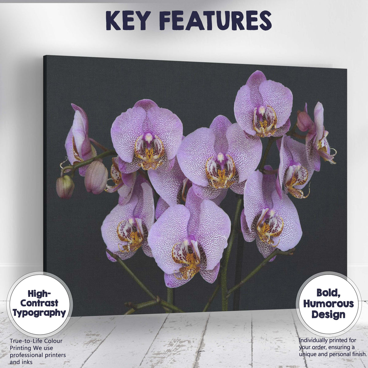 Purple Speckled Phalaenopsis Orchid Bloom Botanical Floral Canvas Wall Art Print Decor Picture Ready to Hang