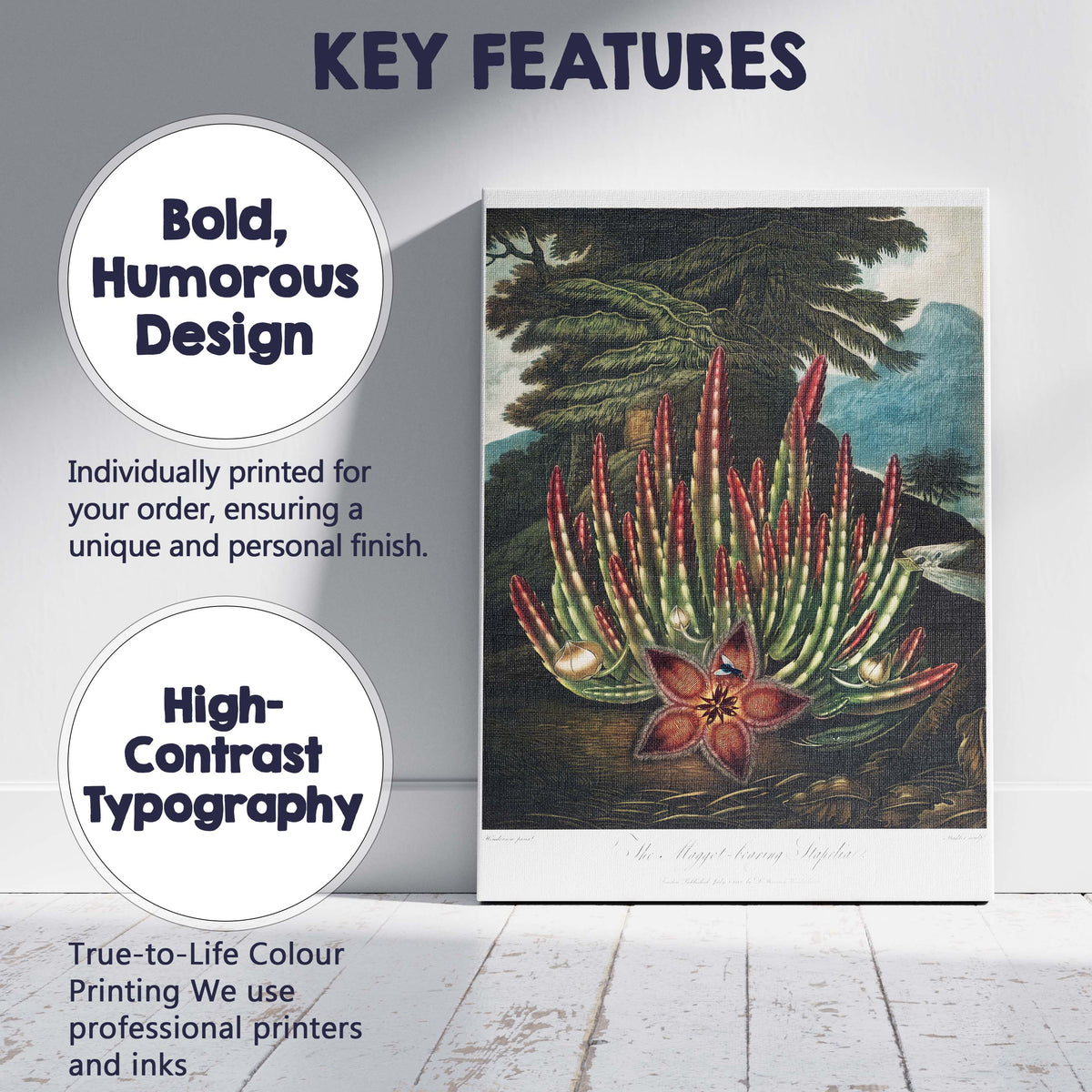 Exotic Stapelia Succulent Red Flower Botanical Engraving Canvas Wall Art Print Decor Picture Ready to Hang