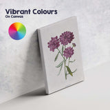 Antique Purple Candytuft Botanical Floral Illustration Canvas Wall Art Print Decor Picture Ready to Hang