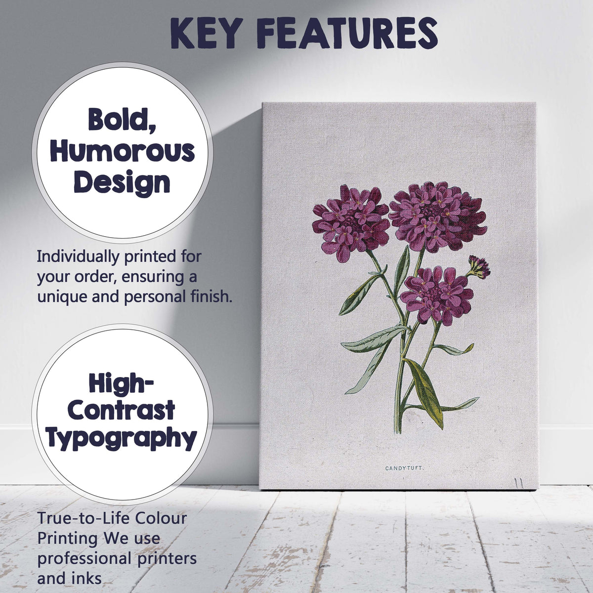 Antique Purple Candytuft Botanical Floral Illustration Canvas Wall Art Print Decor Picture Ready to Hang