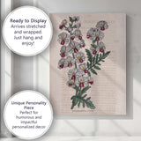 Victorian Schizanthus Butterfly Flower Botanical Engraving Canvas Wall Art Print Decor Picture Ready to Hang