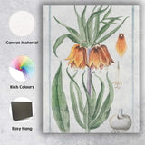Antique Crown Imperial Orange Bell Flower Botanical Illustration Canvas Wall Art Print Decor Picture Ready to Hang