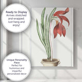 Antique Red Amaryllis Lily Flower Botanical Illustration Elegant Floral Canvas Wall Art Print Decor Picture Ready to Hang