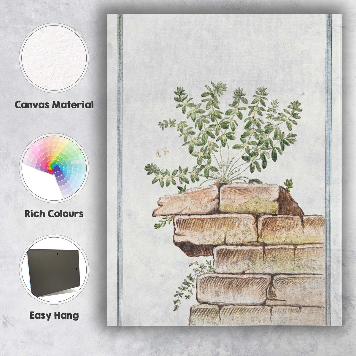 Antique Botanical Wall Plant Illustration Growing On Stone Ruins Canvas Wall Art Print Decor Picture Ready to Hang