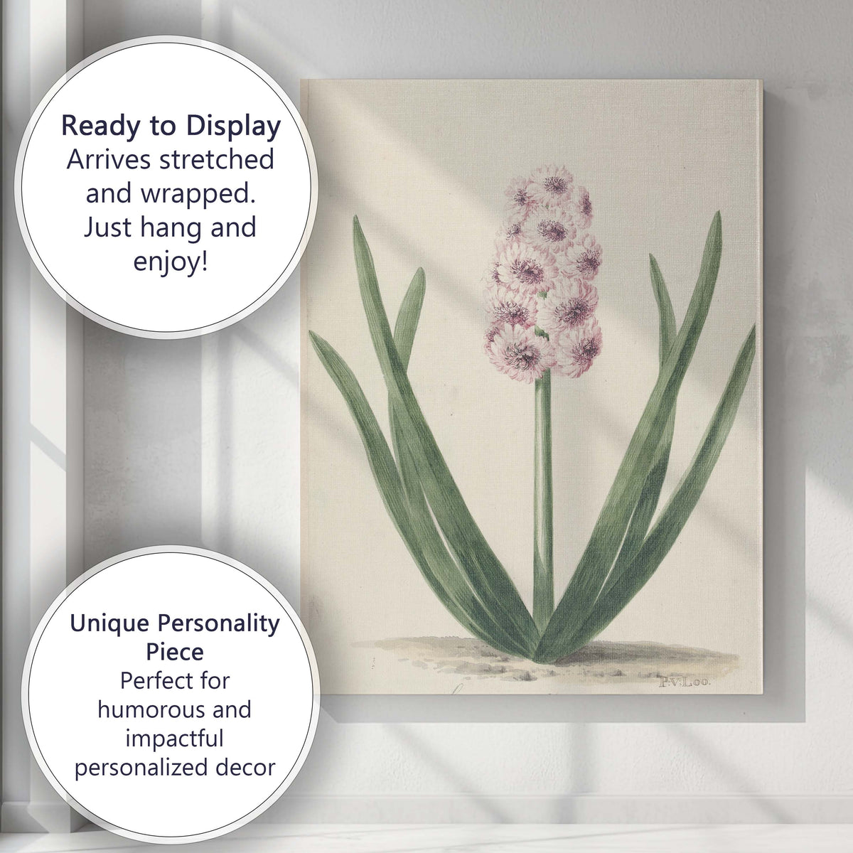 Antique Pink Hyacinth Botanical Flower Illustration Soft Spring Garden Canvas Wall Art Print Decor Picture Ready to Hang
