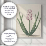 Antique Pink Hyacinth Botanical Flower Illustration Soft Spring Garden Canvas Wall Art Print Decor Picture Ready to Hang