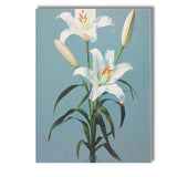 Elegant White Lily Floral Still Life In Glass Vase Canvas Wall Art Print Decor Picture Ready to Hang