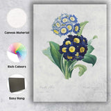 Blue Primrose Botanical Illustration Antique Floral Garden Canvas Wall Art Print Decor Picture Ready to Hang