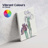 Delicate Watercolour Iris Flower Botanical Painting Canvas Wall Art Print Decor Picture Ready to Hang