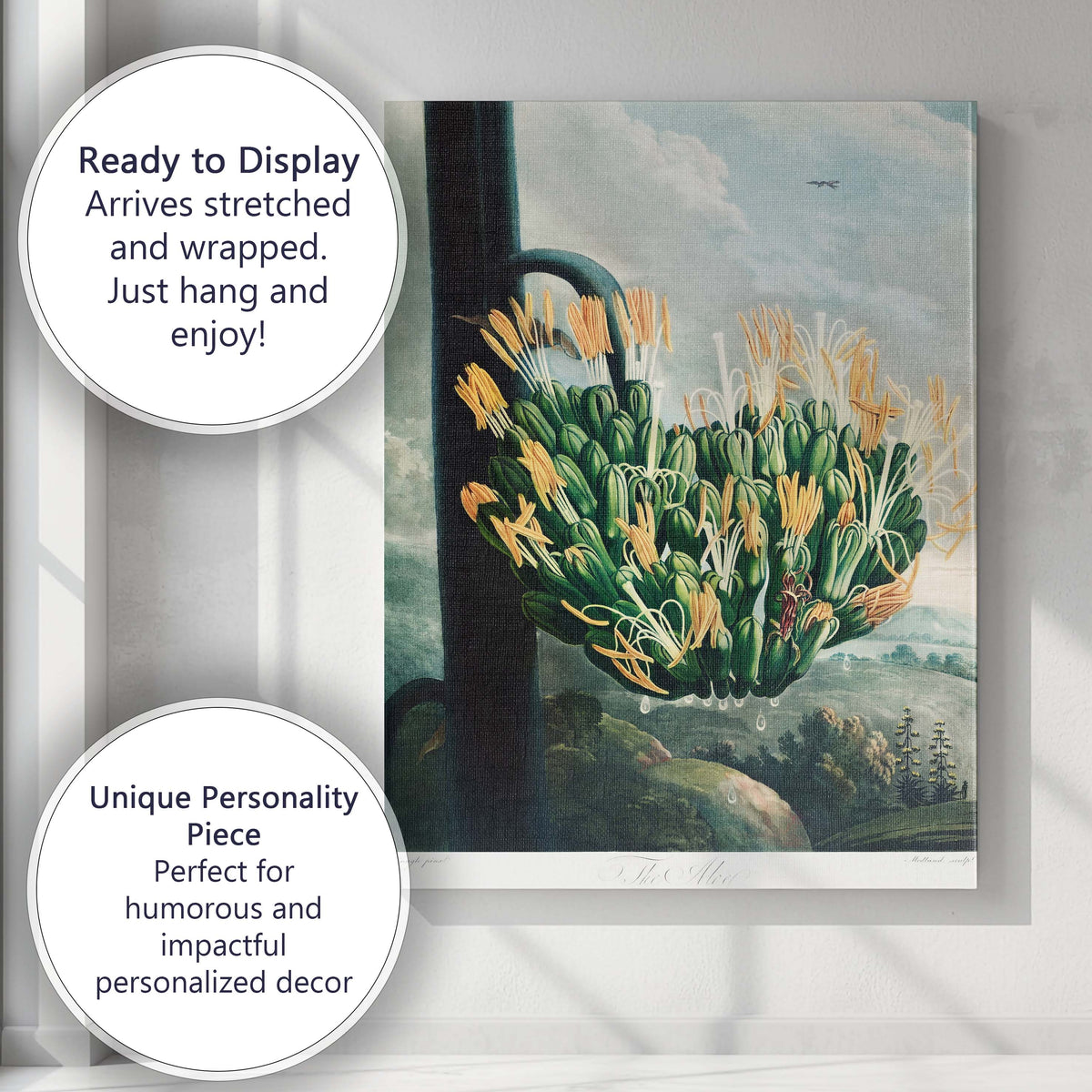 Antique Agave Bloom Botanical Landscape Illustration Canvas Wall Art Print Decor Picture Ready to Hang