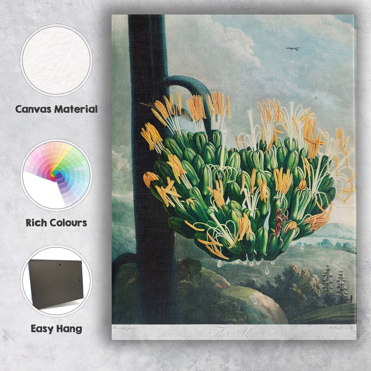 Antique Agave Bloom Botanical Landscape Illustration Canvas Wall Art Print Decor Picture Ready to Hang