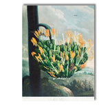 Antique Agave Bloom Botanical Landscape Illustration Canvas Wall Art Print Decor Picture Ready to Hang