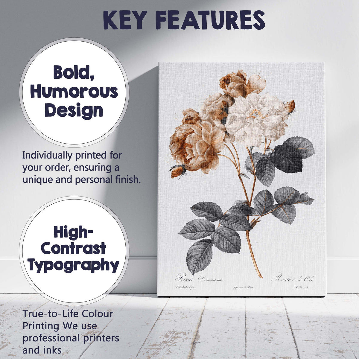 Sepia Toned Damask Rose Botanical Floral Illustration Canvas Wall Art Print Decor Picture Ready to Hang