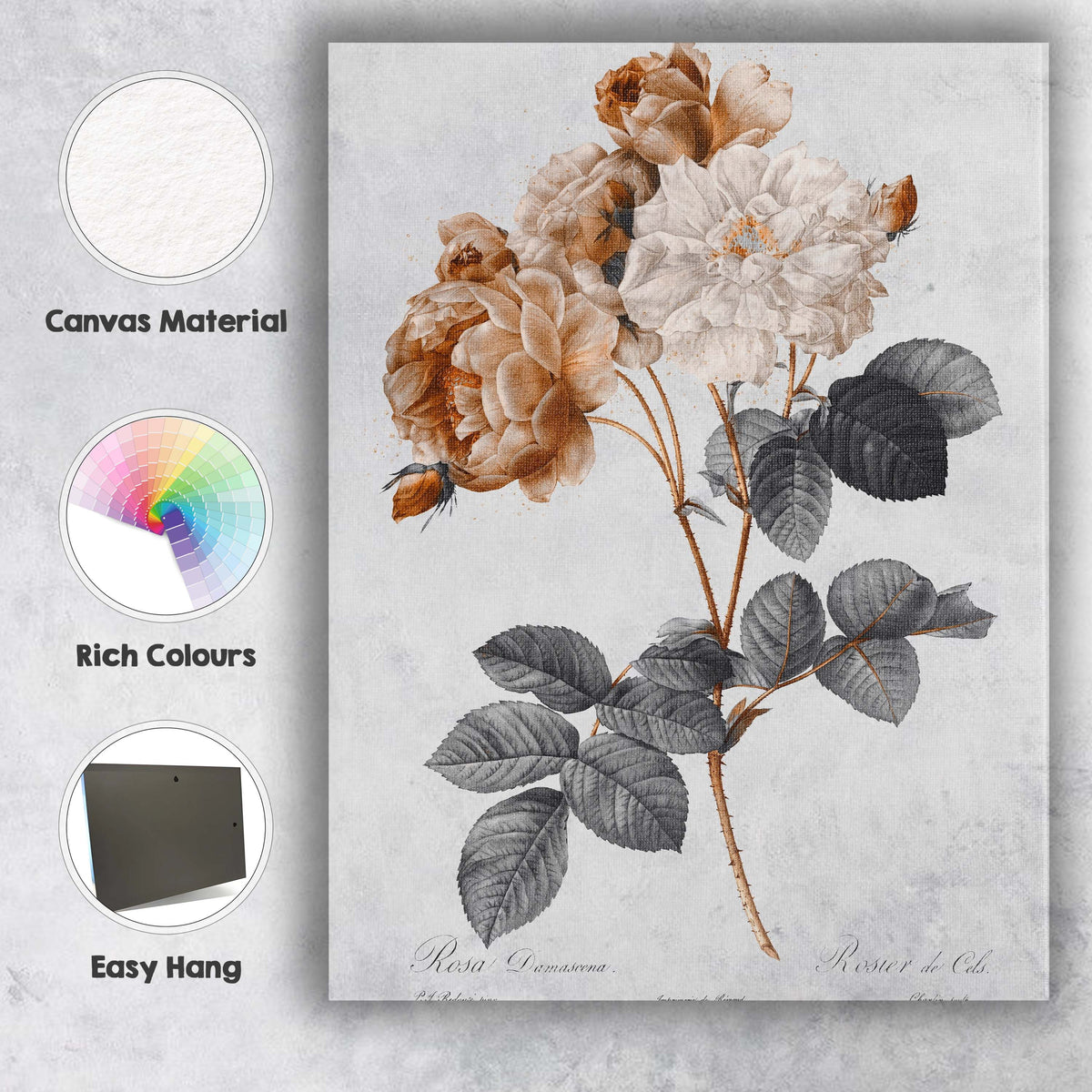 Sepia Toned Damask Rose Botanical Floral Illustration Canvas Wall Art Print Decor Picture Ready to Hang