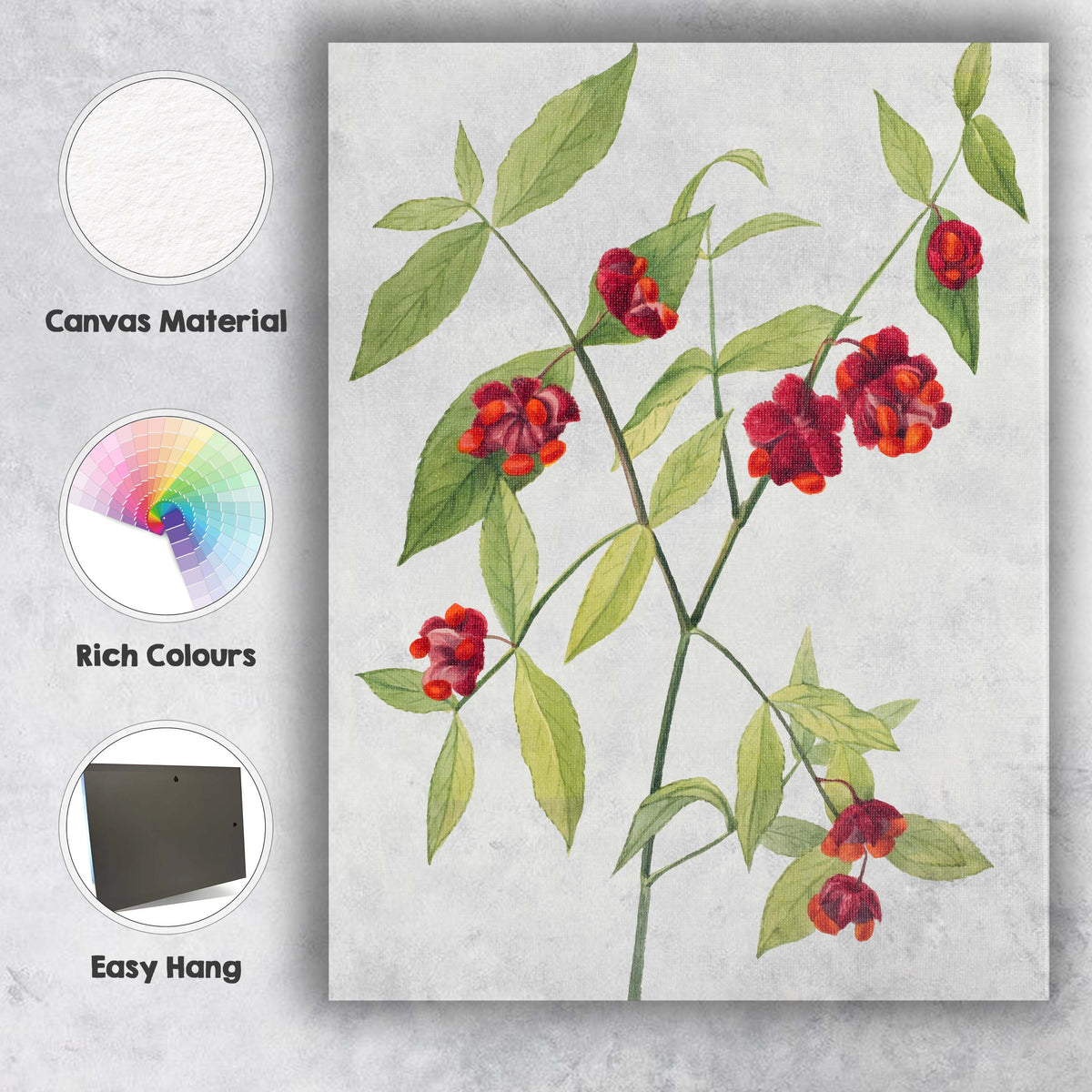Red Orange Spindle Berry Botanical Watercolour Illustration Canvas Wall Art Print Decor Picture Ready to Hang