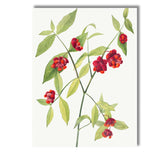 Red Orange Spindle Berry Botanical Watercolour Illustration Canvas Wall Art Print Decor Picture Ready to Hang
