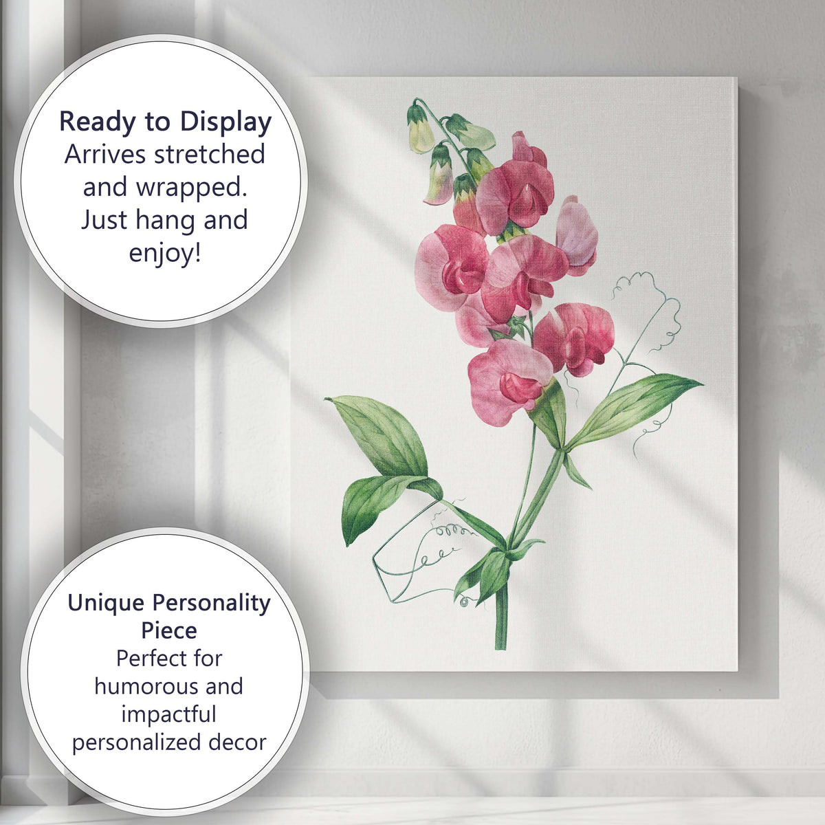 Delicate Pink Sweet Pea Botanical Flower Watercolour Illustration Canvas Wall Art Print Decor Picture Ready to Hang