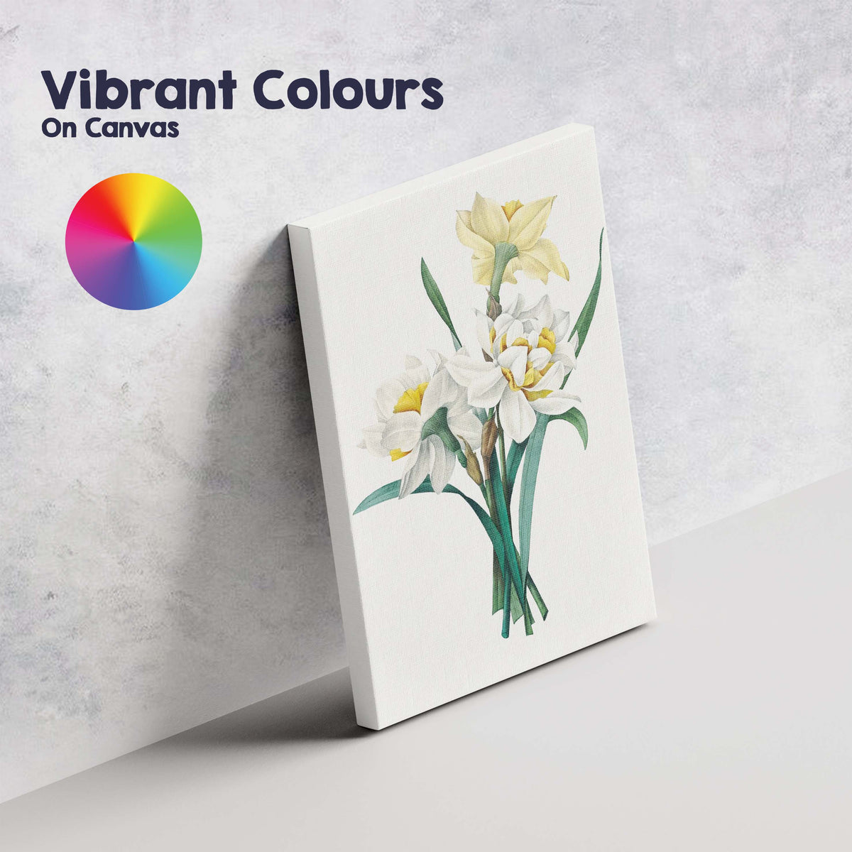 White and Yellow Daffodil Botanical Spring Flower Illustration Canvas Wall Art Print Decor Picture Ready to Hang