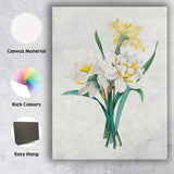 White and Yellow Daffodil Botanical Spring Flower Illustration Canvas Wall Art Print Decor Picture Ready to Hang