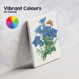 Blue Gentian Wildflower Botanical Illustration with Butterfly Canvas Wall Art Print Decor Picture Ready to Hang