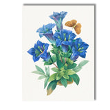 Blue Gentian Wildflower Botanical Illustration with Butterfly Canvas Wall Art Print Decor Picture Ready to Hang