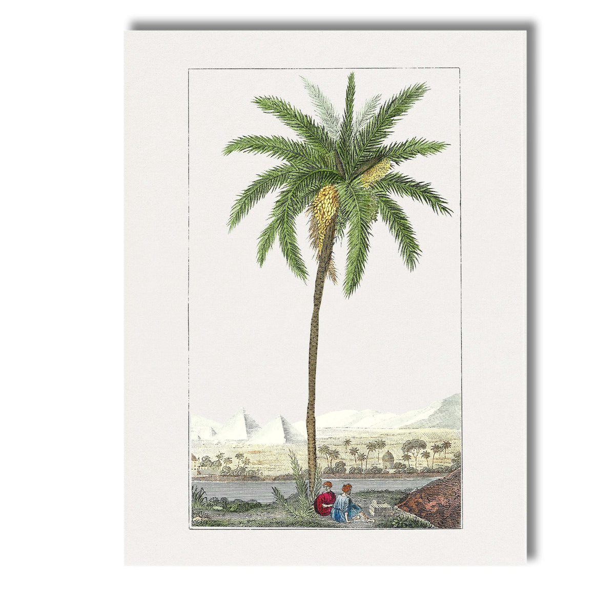 Antique Date Palm Desert Landscape Botanical Illustration Canvas Wall Art Print Decor Picture Ready to Hang