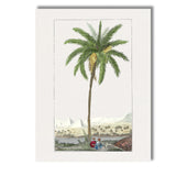 Antique Date Palm Desert Landscape Botanical Illustration Canvas Wall Art Print Decor Picture Ready to Hang