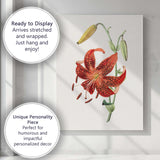 Vibrant Orange Spotted Tiger Lily Botanical Illustration Canvas Wall Art Print Decor Picture Ready to Hang