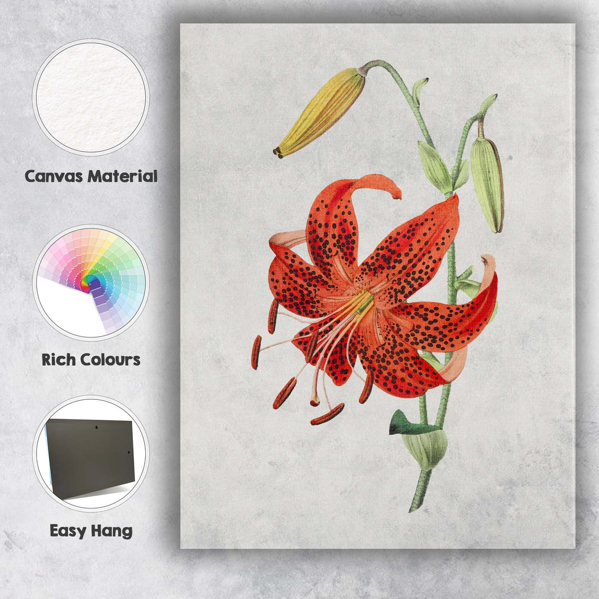 Vibrant Orange Spotted Tiger Lily Botanical Illustration Canvas Wall Art Print Decor Picture Ready to Hang