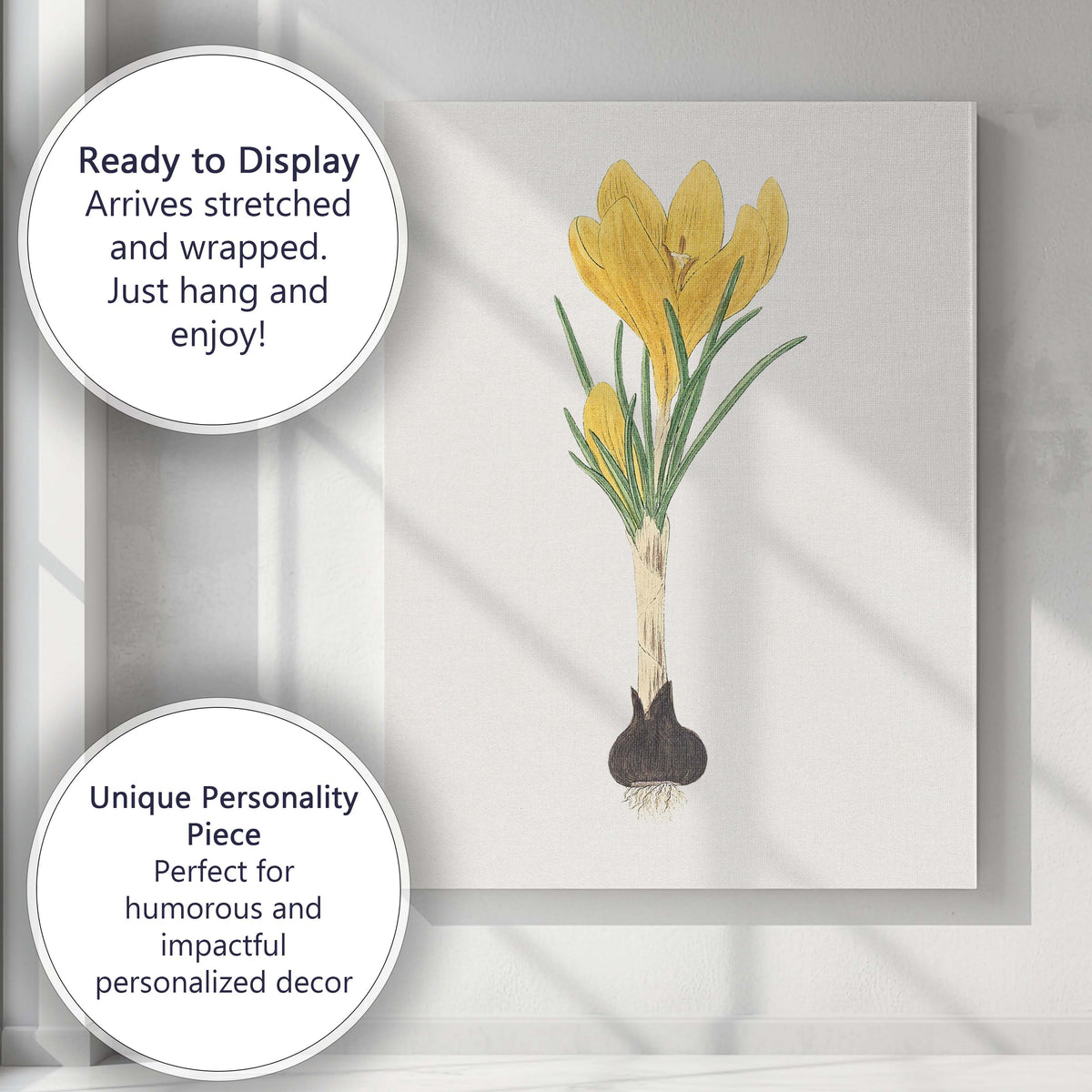 Golden Yellow Crocus Flower Bulb Botanical Illustration Canvas Wall Art Print Decor Picture Ready to Hang