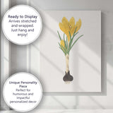 Golden Yellow Crocus Flower Bulb Botanical Illustration Canvas Wall Art Print Decor Picture Ready to Hang