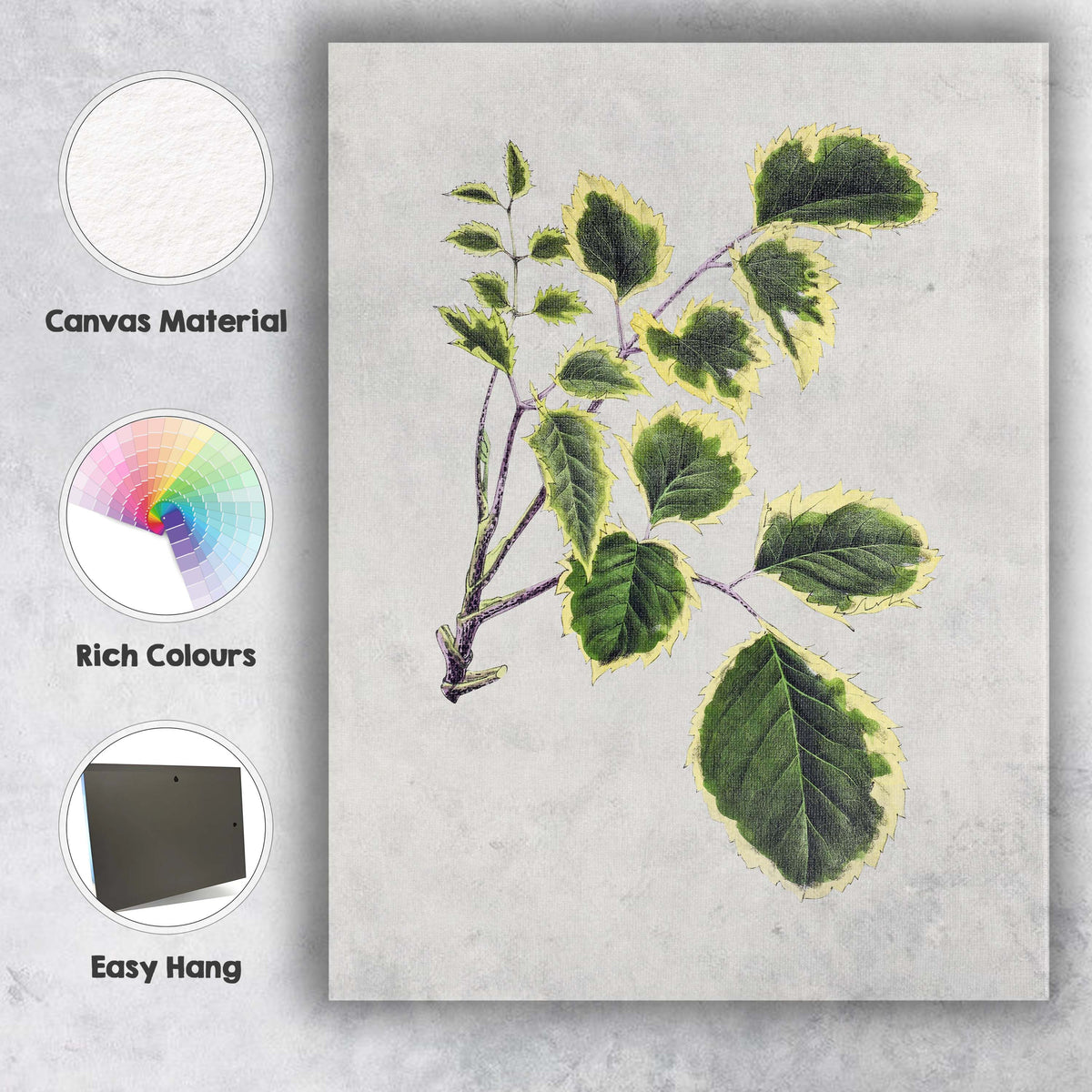 Green and Cream Variegated Leaf Branch Botanical Illustration Canvas Wall Art Print Decor Picture Ready to Hang