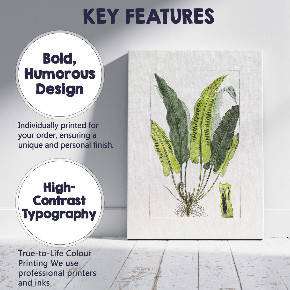 Antique Green Fern Frond Botanical Study Illustration Canvas Wall Art Print Decor Picture Ready to Hang