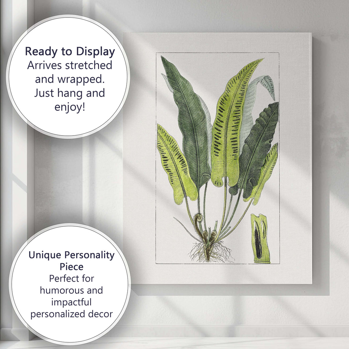 Antique Green Fern Frond Botanical Study Illustration Canvas Wall Art Print Decor Picture Ready to Hang