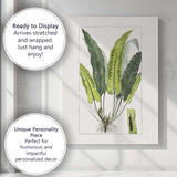 Antique Green Fern Frond Botanical Study Illustration Canvas Wall Art Print Decor Picture Ready to Hang