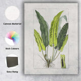 Antique Green Fern Frond Botanical Study Illustration Canvas Wall Art Print Decor Picture Ready to Hang